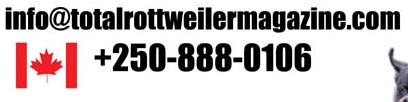 Click to Email TTRM