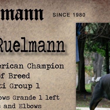 Von Ruelmann The Rottweiler Chronicle - International/American Champion Xtra Von ...